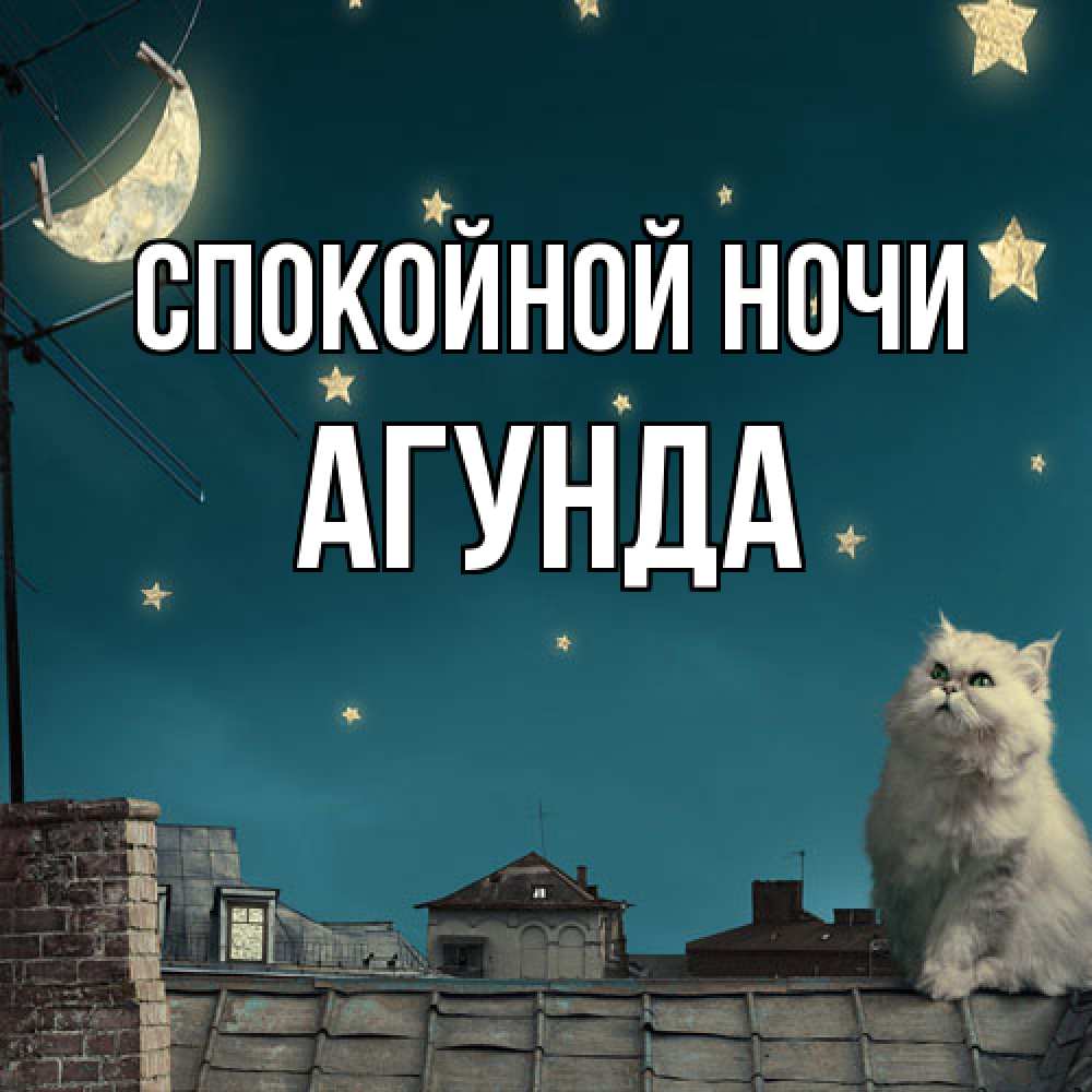 Открытка на каждый день с именем, Агунда Спокойной ночи белый кот сидит на крыше Прикольная открытка с пожеланием онлайн скачать бесплатно 