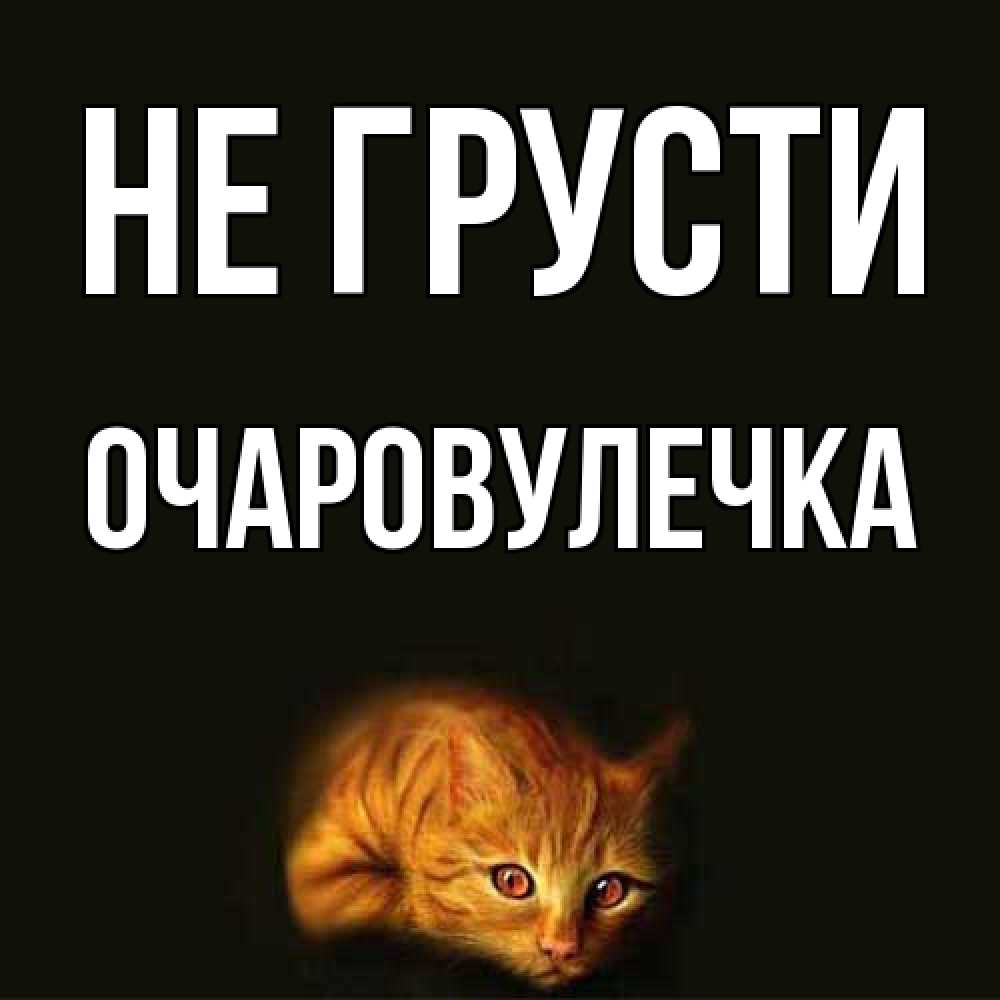 Открытка на каждый день с именем, Очаpовулечка Не грусти лежащий кот в темноте Прикольная открытка с пожеланием онлайн скачать бесплатно 