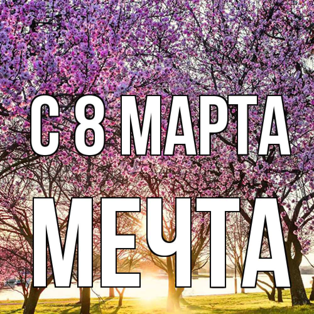 Открытка на каждый день с именем, мечта C 8 МАРТА международный женский день Прикольная открытка с пожеланием онлайн скачать бесплатно 