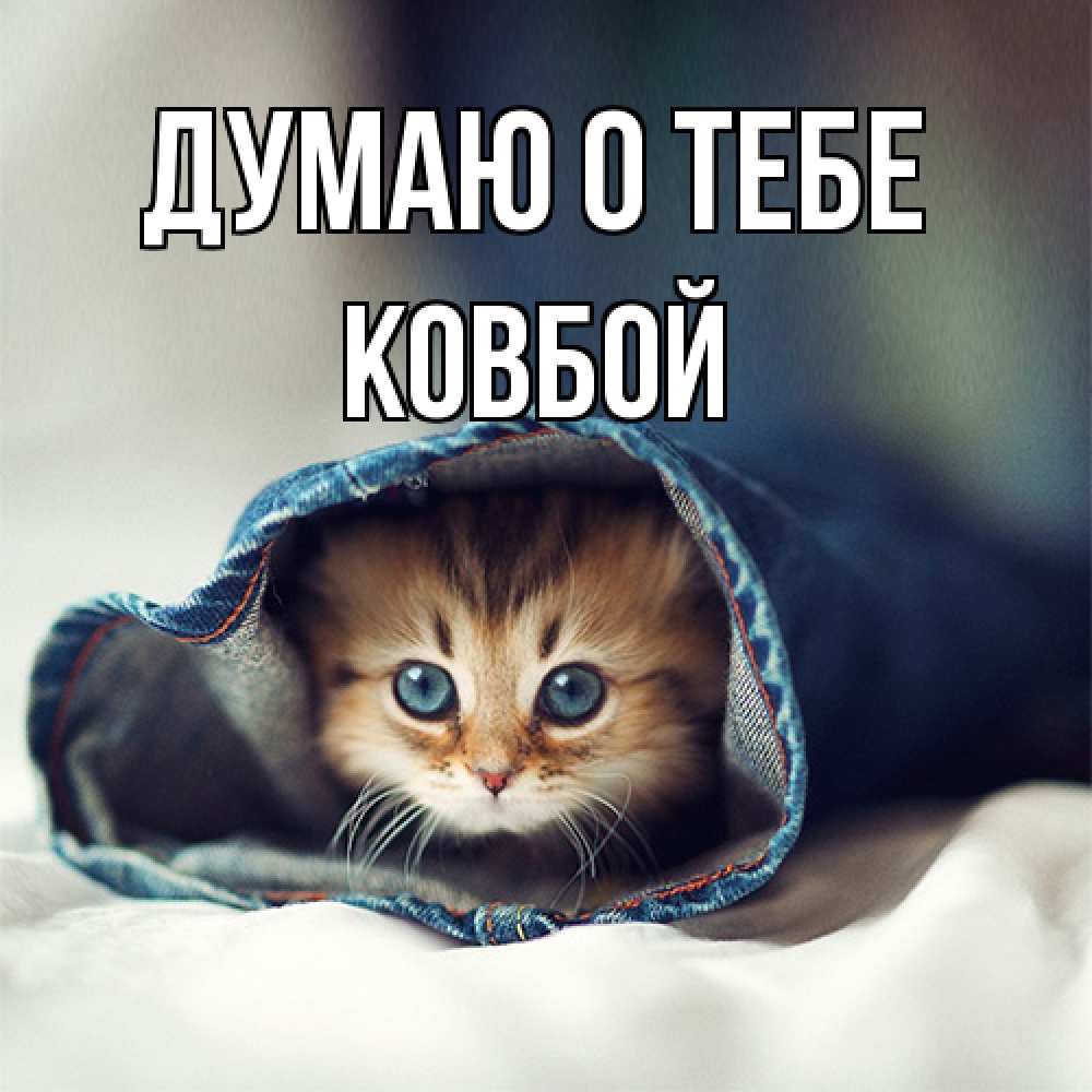Открытка на каждый день с именем, Ковбой Думаю о тебе мне без тебя плохо Прикольная открытка с пожеланием онлайн скачать бесплатно 