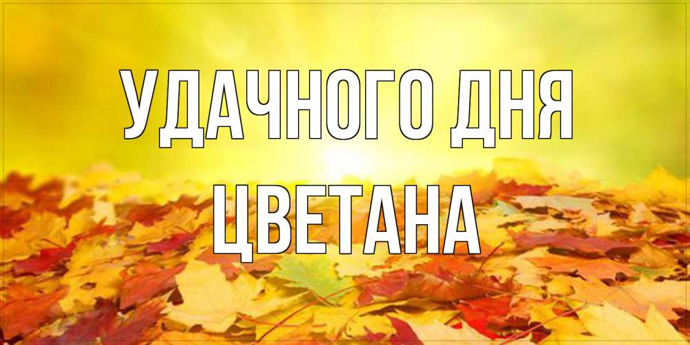 Открытка на каждый день с именем, Цветана Удачного дня пожелания удачного дня Прикольная открытка с пожеланием онлайн скачать бесплатно 