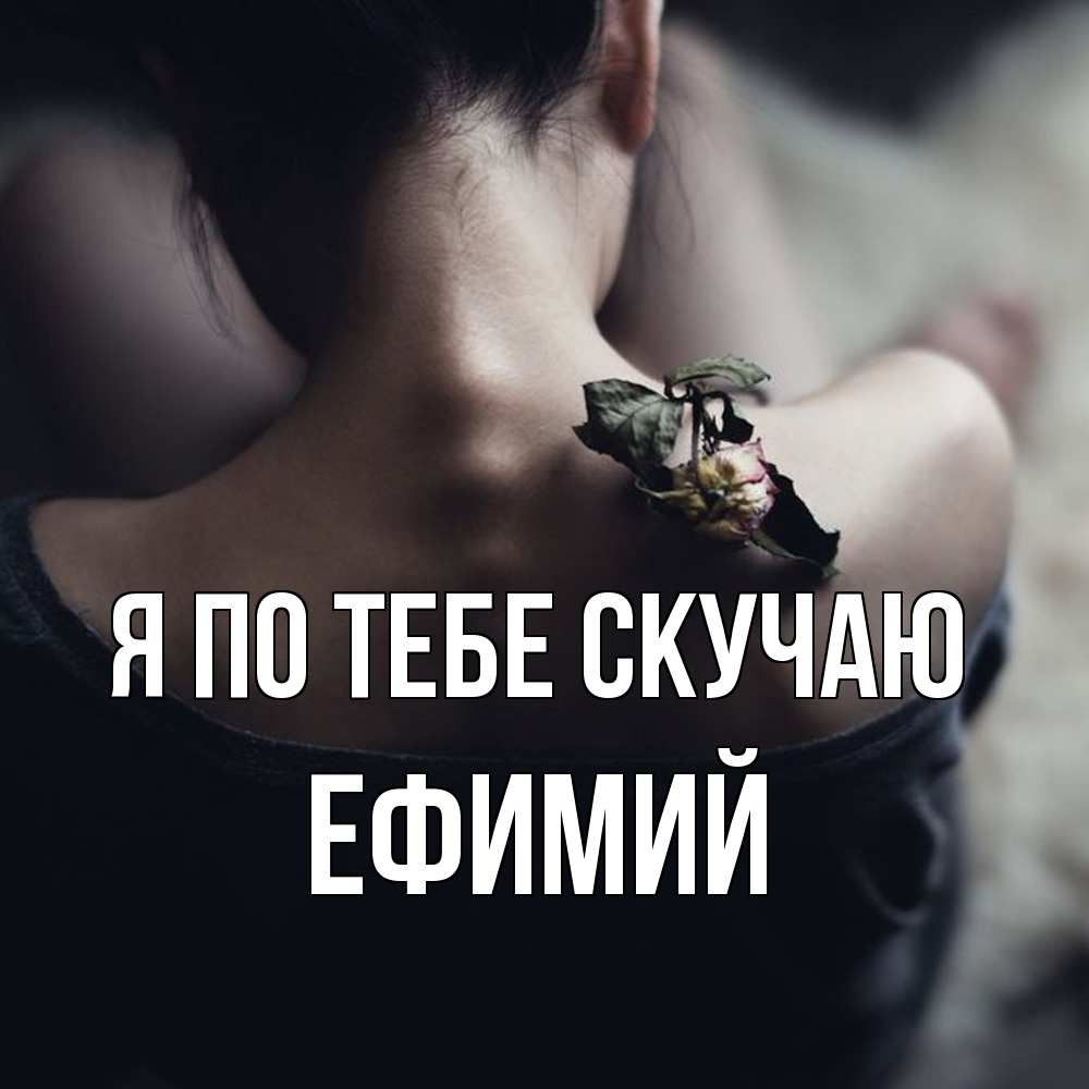 Открытка на каждый день с именем, Ефимий Я по тебе скучаю засох цветок Прикольная открытка с пожеланием онлайн скачать бесплатно 