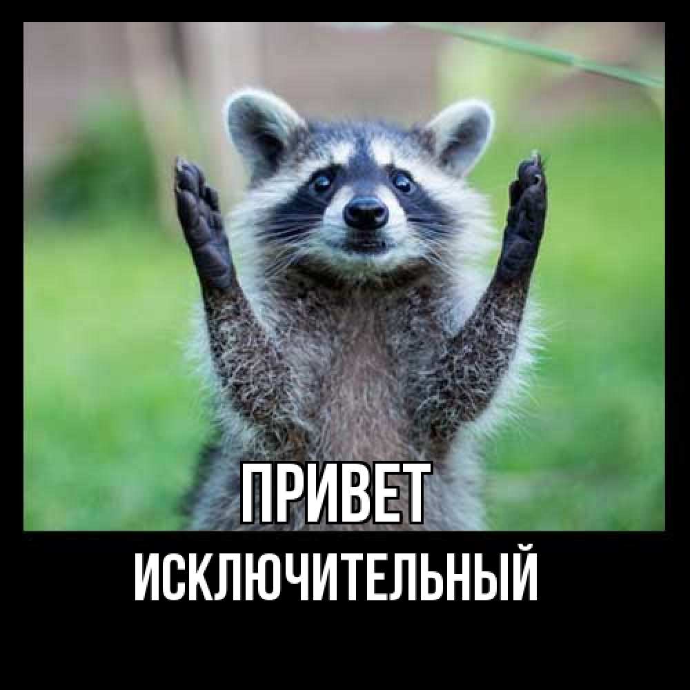 Открытка на каждый день с именем, Исключительный Привет животные Прикольная открытка с пожеланием онлайн скачать бесплатно 