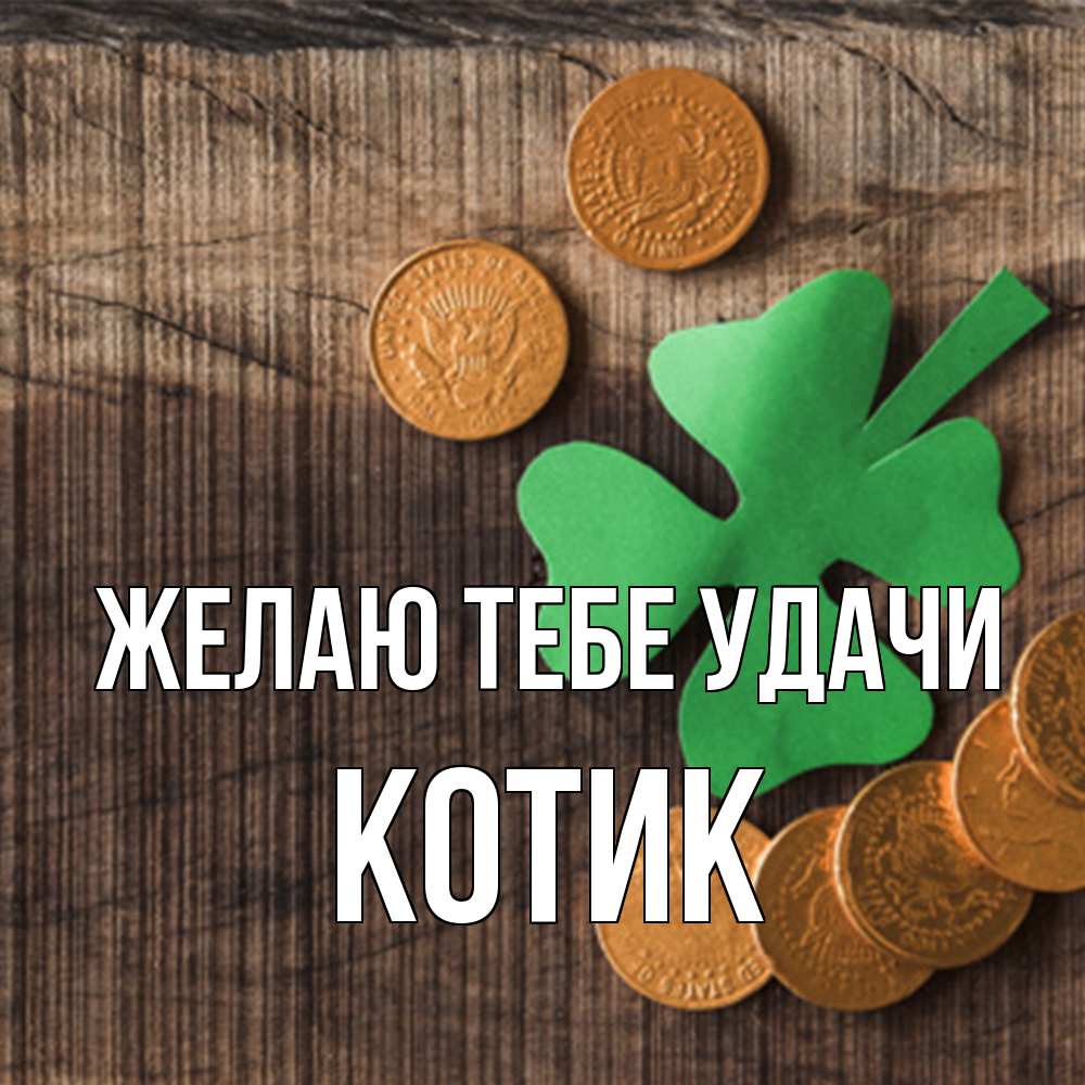 Открытка на каждый день с именем, Котик Желаю тебе удачи на удачу сегодня Прикольная открытка с пожеланием онлайн скачать бесплатно 