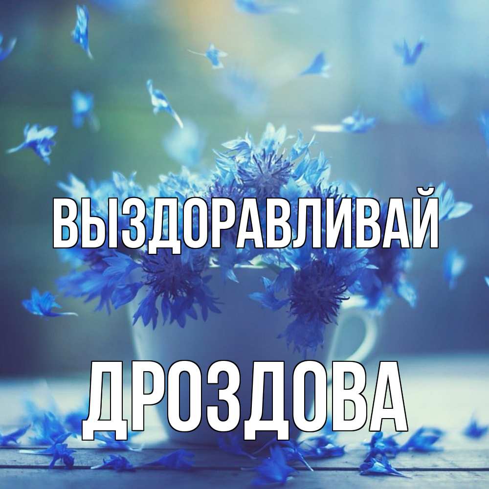 Открытка на каждый день с именем, Дроздова Выздоравливай кружка с зельем и цветами Прикольная открытка с пожеланием онлайн скачать бесплатно 