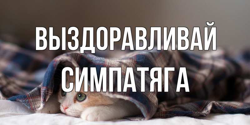 Картинка Выздоравливай, Симпатяга