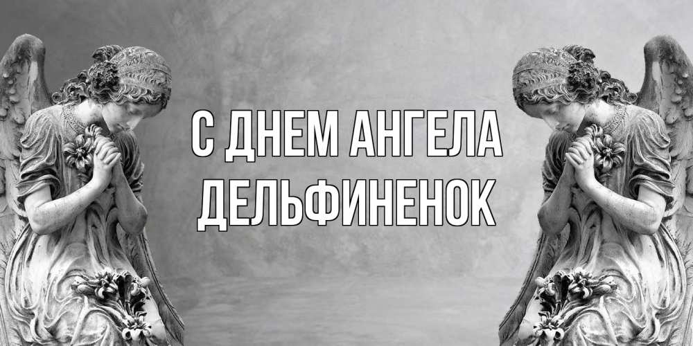 Открытка на каждый день с именем, дельфиненок С днем ангела Ангел на небе Прикольная открытка с пожеланием онлайн скачать бесплатно 