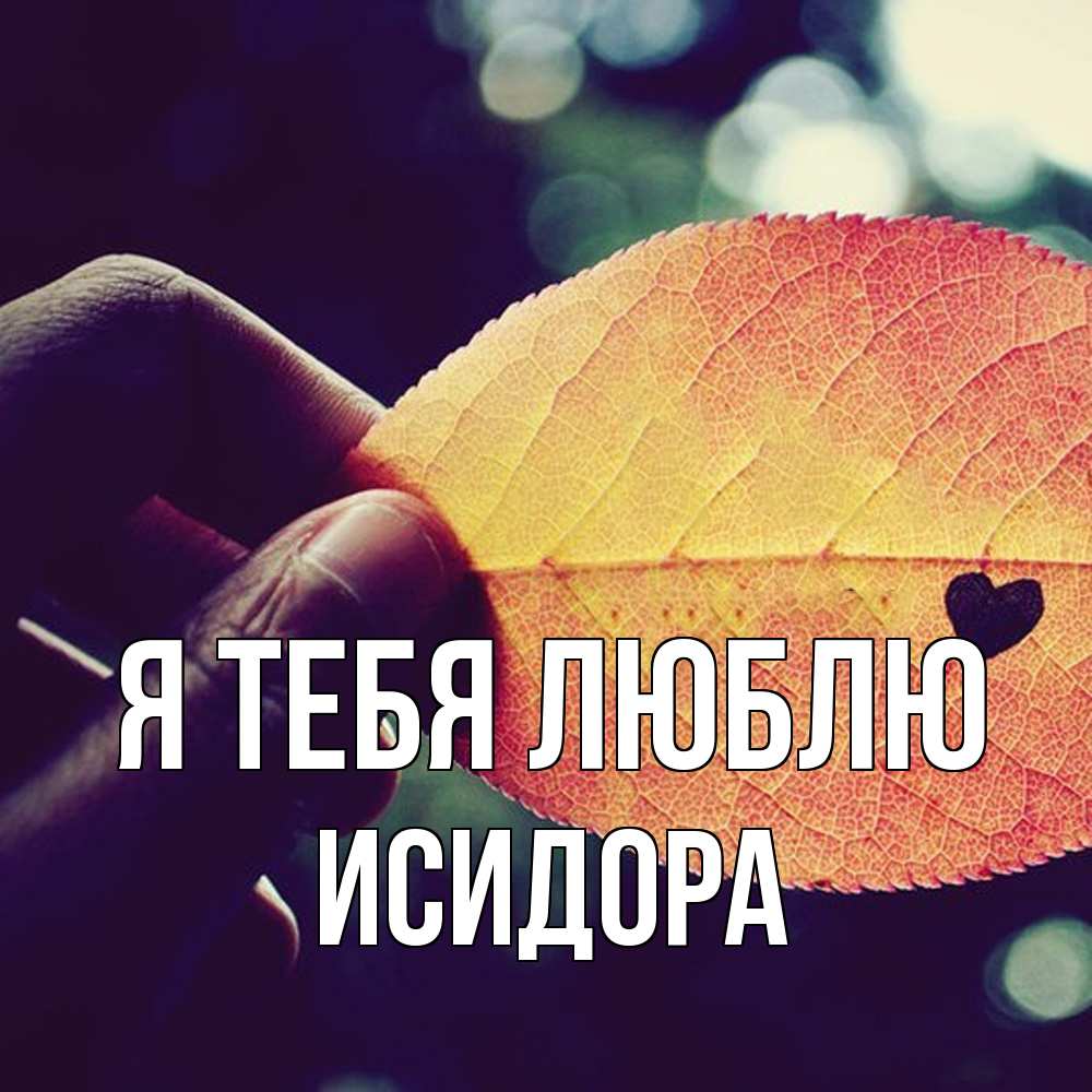 Открытка на каждый день с именем, Исидора Я тебя люблю держу лист Прикольная открытка с пожеланием онлайн скачать бесплатно 