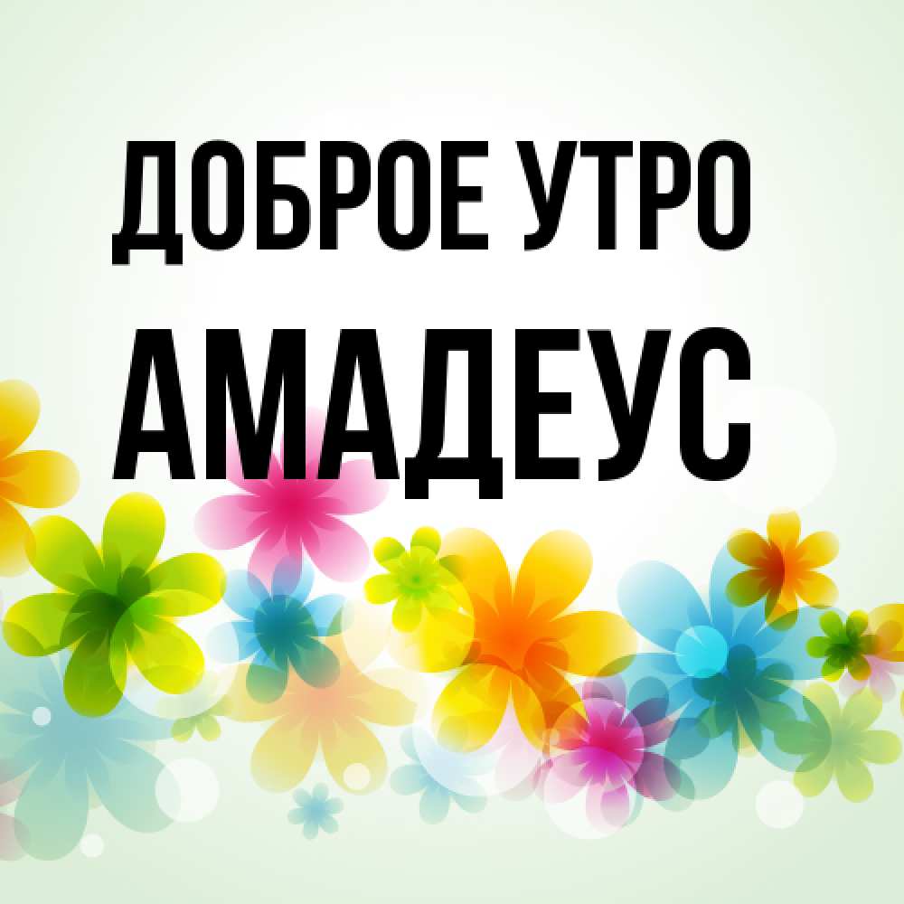 Открытка на каждый день с именем, Амадеус Доброе утро позитивные цветочки Прикольная открытка с пожеланием онлайн скачать бесплатно 