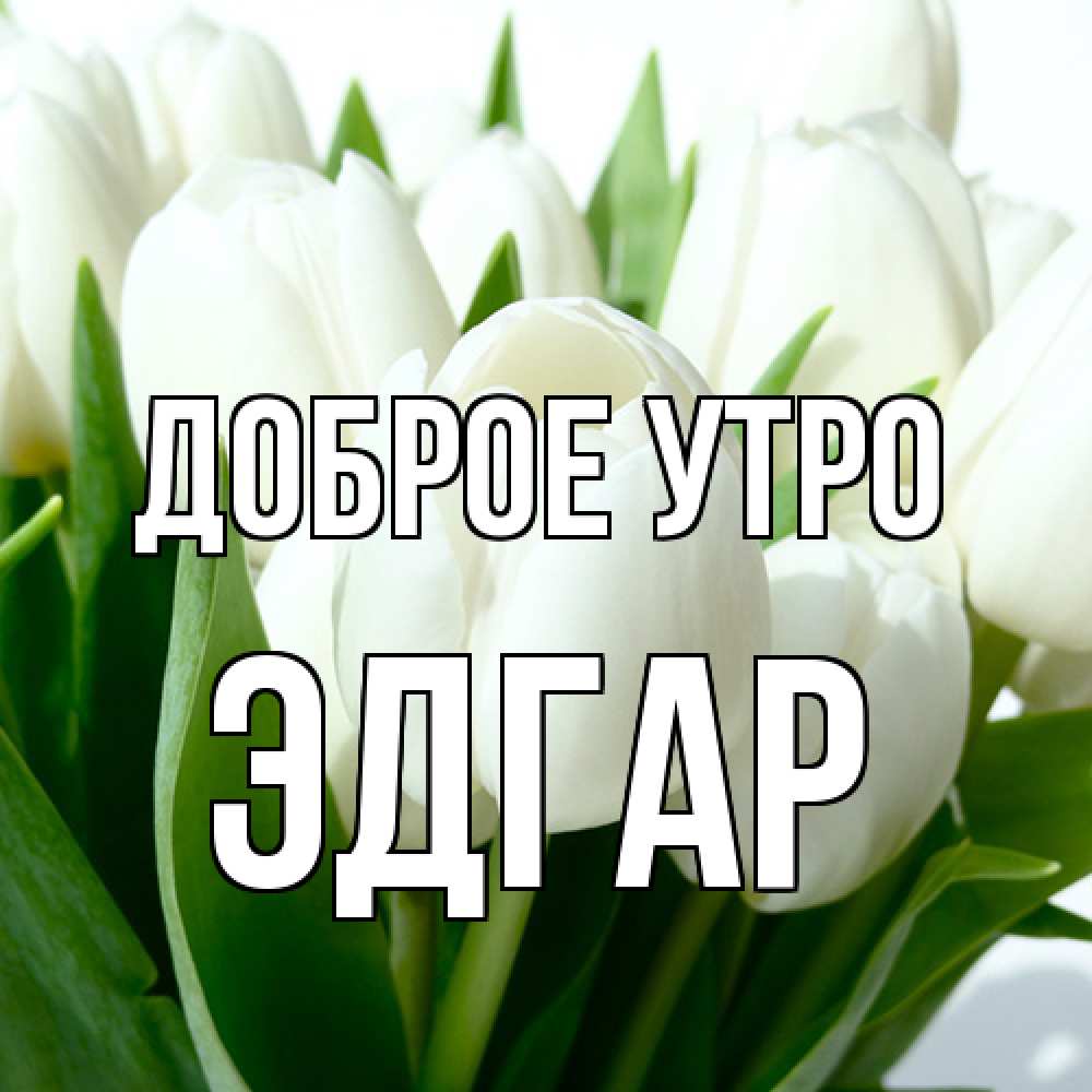 Открытка на каждый день с именем, Эдгар Доброе утро открытки на каждый день по именам Прикольная открытка с пожеланием онлайн скачать бесплатно 