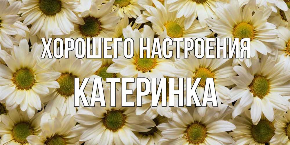 Открытка на каждый день с именем, Катеринка Хорошего настроения крупные ромашки Прикольная открытка с пожеланием онлайн скачать бесплатно 