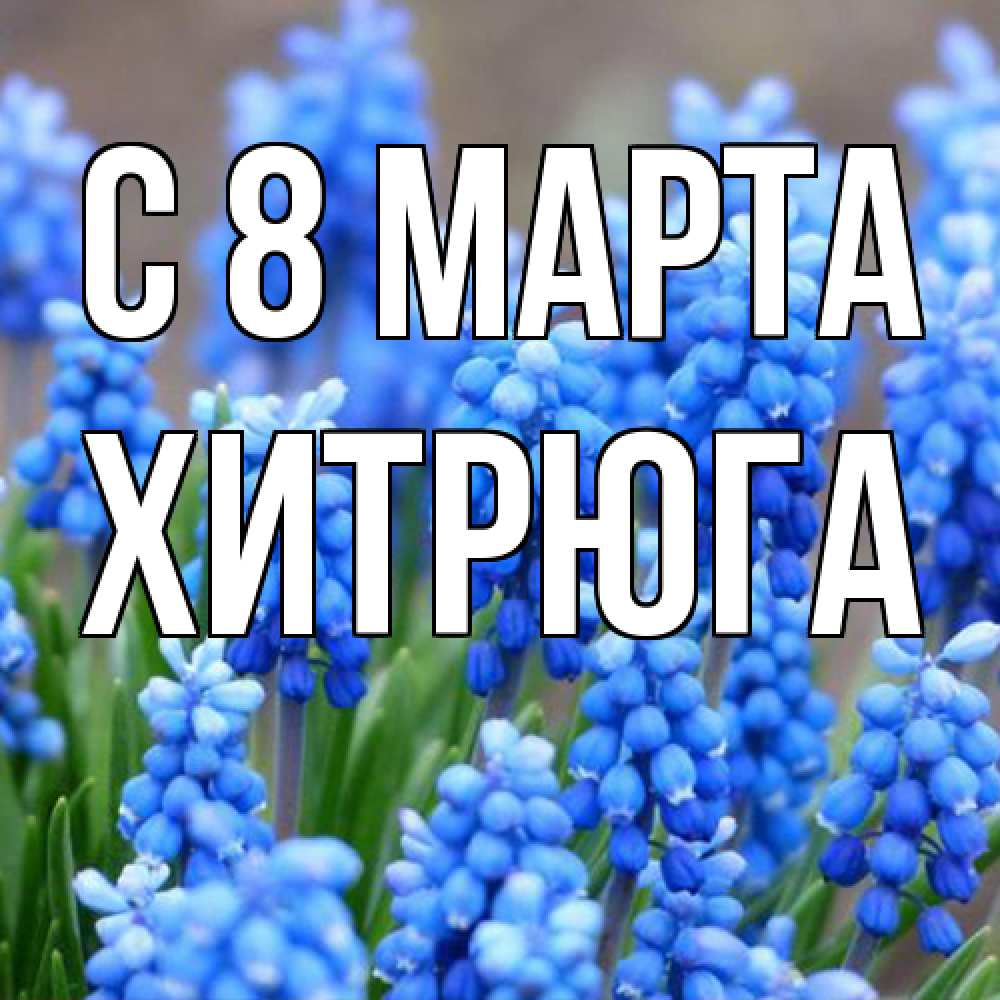 Открытка на каждый день с именем, хитрюга C 8 МАРТА Поздравительная открытка для женщин с цветами на праздничную дату Прикольная открытка с пожеланием онлайн скачать бесплатно 