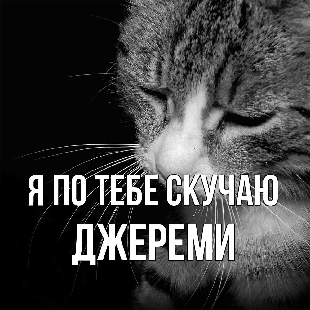 Открытка на каждый день с именем, Джереми Я по тебе скучаю мне скучно Прикольная открытка с пожеланием онлайн скачать бесплатно 