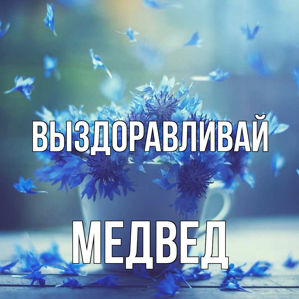 Открытка на каждый день с именем, Медвед Выздоравливай кружка с зельем и цветами Прикольная открытка с пожеланием онлайн скачать бесплатно 