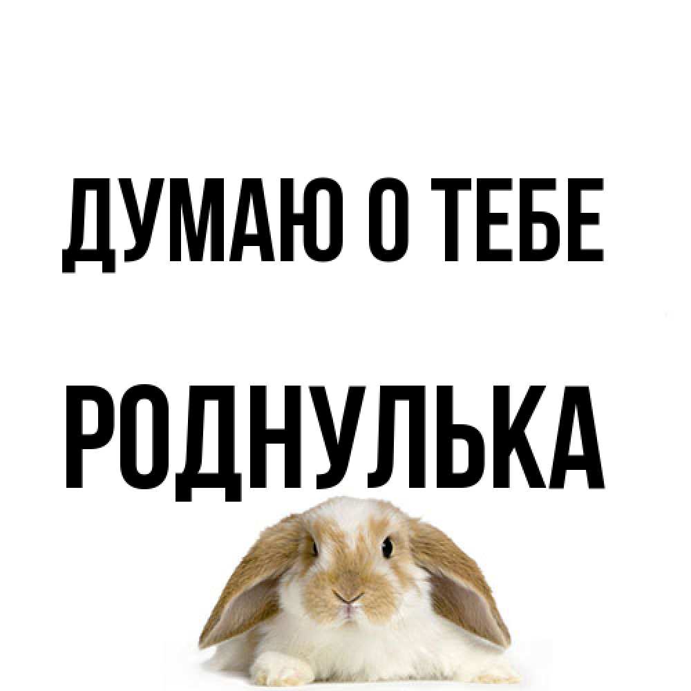 Открытка на каждый день с именем, Роднулька Думаю о тебе подписать своими руками онлайн Прикольная открытка с пожеланием онлайн скачать бесплатно 