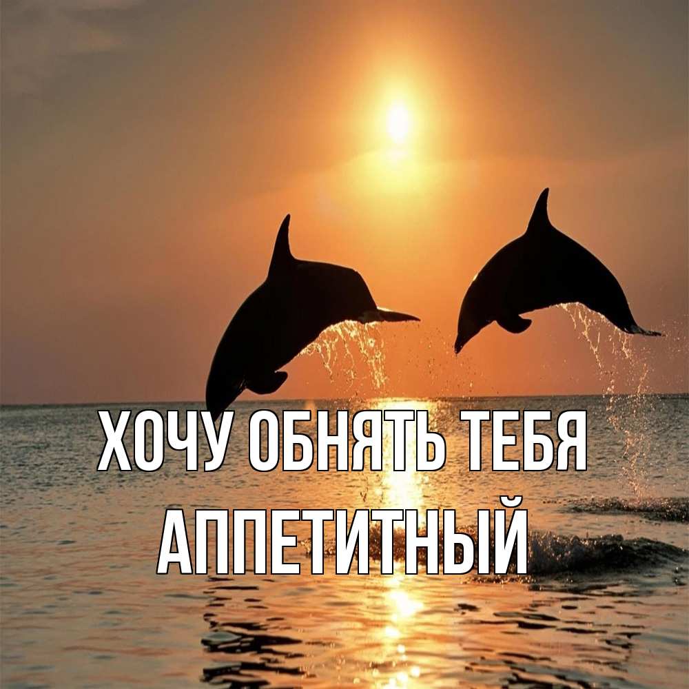 Открытка на каждый день с именем, Аппетитный Хочу обнять тебя рыбы на закате Прикольная открытка с пожеланием онлайн скачать бесплатно 