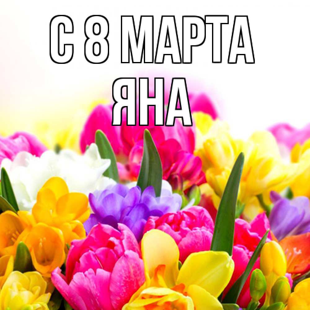 Открытка на каждый день с именем, Яна C 8 МАРТА тюльпаны Прикольная открытка с пожеланием онлайн скачать бесплатно 