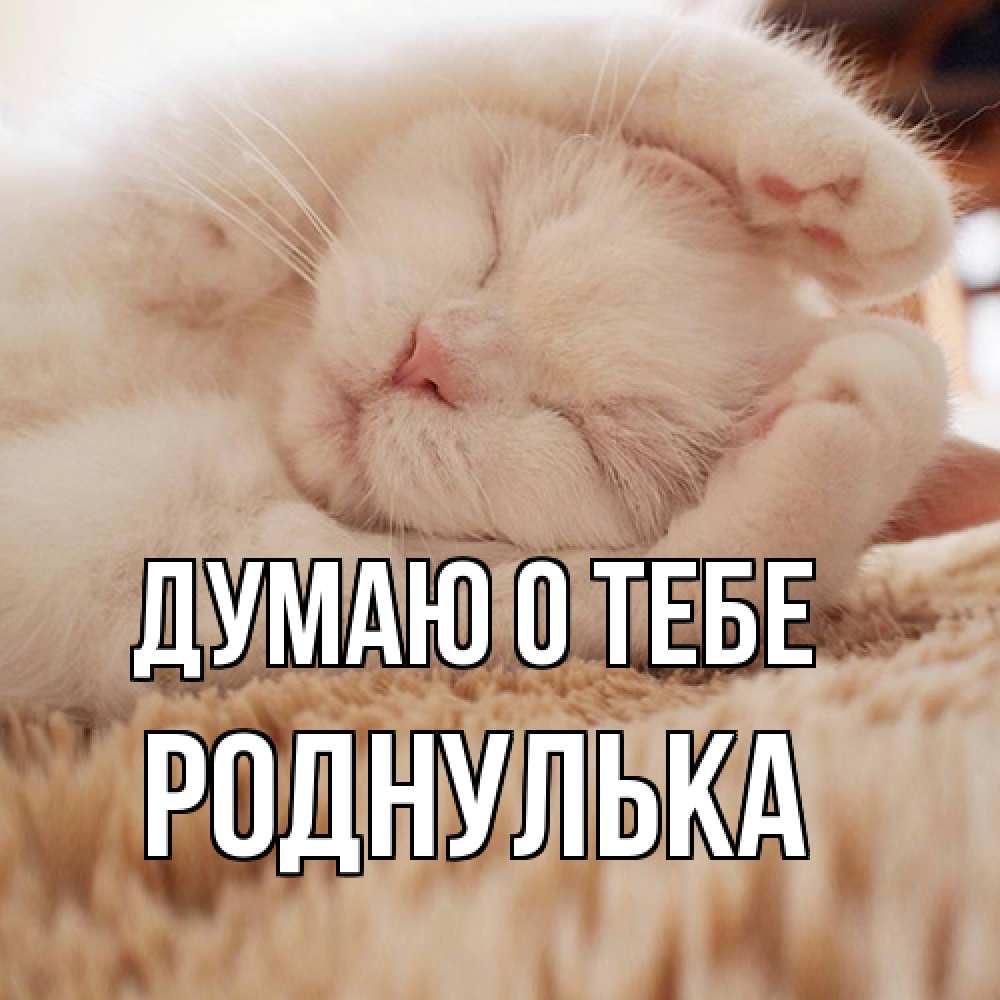 Открытка на каждый день с именем, Роднулька Думаю о тебе для любимой девушки милота Прикольная открытка с пожеланием онлайн скачать бесплатно 