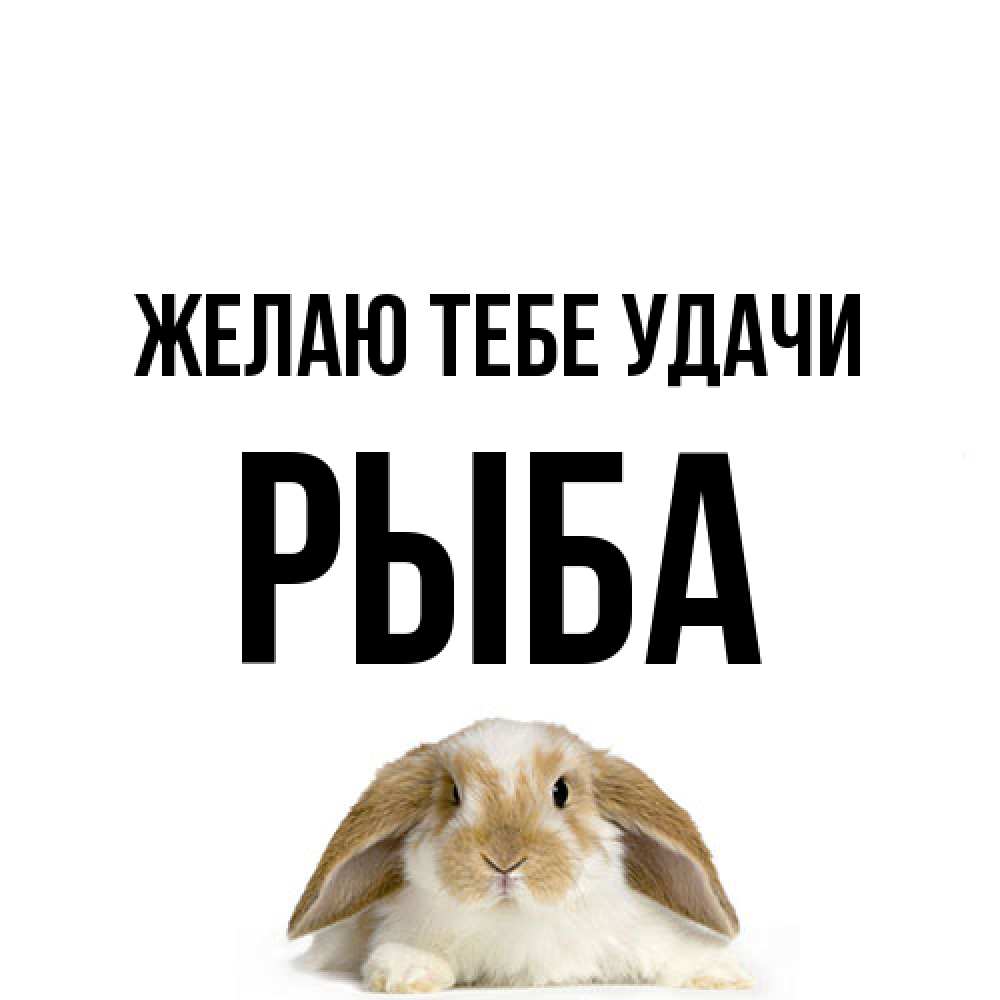 Открытка на каждый день с именем, Рыба Желаю тебе удачи открытки с произвольным текстом который можно вставить в открытку и создать ее самостоятельно бесплатно онлайн Прикольная открытка с пожеланием онлайн скачать бесплатно 