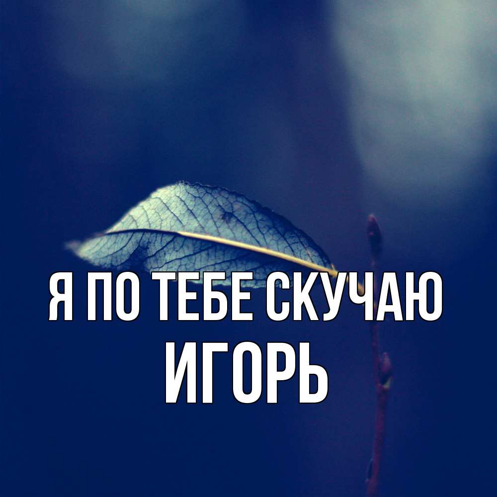 Открытка на каждый день с именем, Игорь Я по тебе скучаю одна ветка 1 Прикольная открытка с пожеланием онлайн скачать бесплатно 