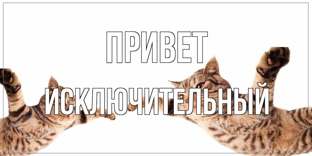 Открытка на каждый день с именем, Исключительный Привет кот Прикольная открытка с пожеланием онлайн скачать бесплатно 
