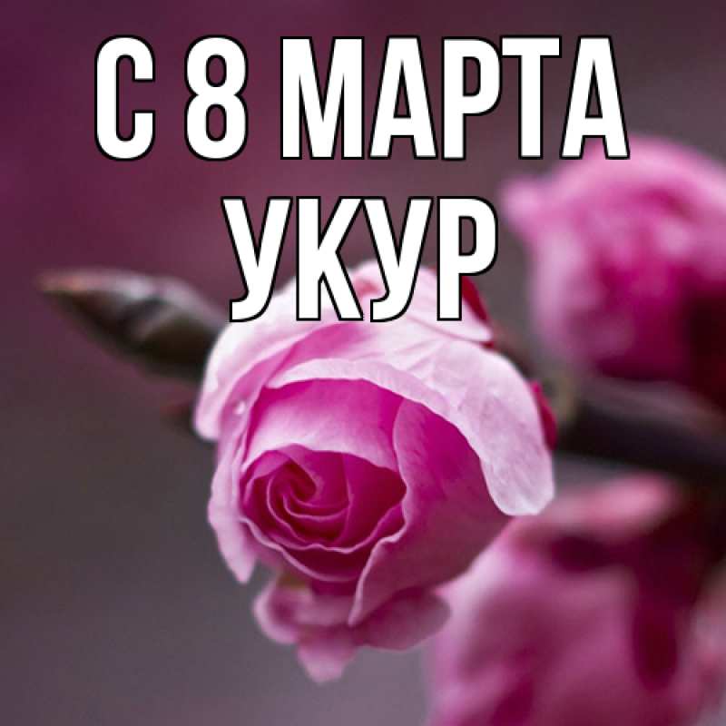 Картинка C 8 МАРТА, Укур