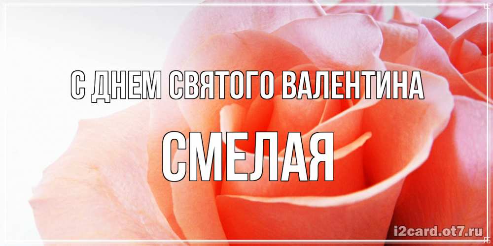 Открытка на каждый день с именем, Смелая С днем Святого Валентина открытка на день Святого Валентина с розовой розой Прикольная открытка с пожеланием онлайн скачать бесплатно 