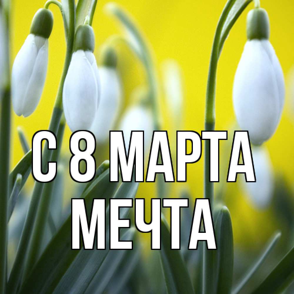 Открытка на каждый день с именем, мечта C 8 МАРТА весенние цветы Прикольная открытка с пожеланием онлайн скачать бесплатно 