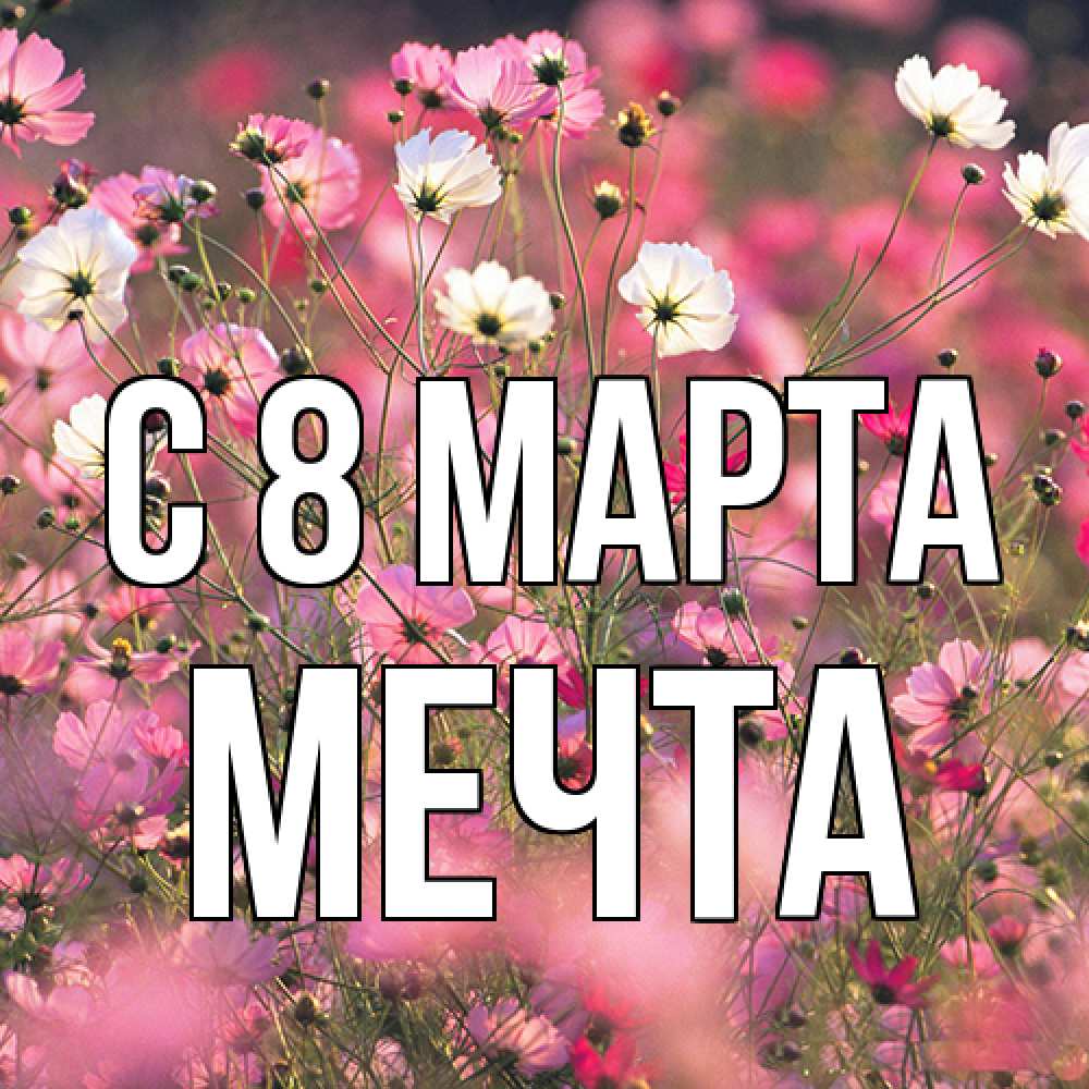 Открытка на каждый день с именем, мечта C 8 МАРТА красиво 1 Прикольная открытка с пожеланием онлайн скачать бесплатно 
