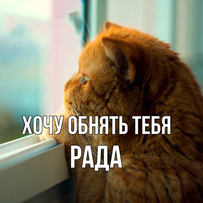 Картинка Хочу обнять тебя, Рада