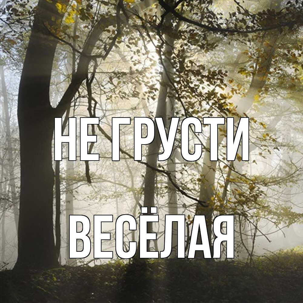 Открытка на каждый день с именем, Весёлая Не грусти лес и свет Прикольная открытка с пожеланием онлайн скачать бесплатно 