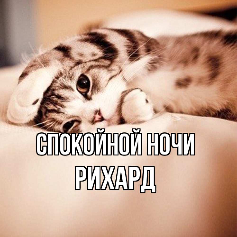 Открытка на каждый день с именем, Рихард Спокойной ночи сладких снов с животными Прикольная открытка с пожеланием онлайн скачать бесплатно 