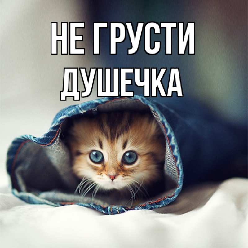 Открытка с именем, душечка, Не грусти