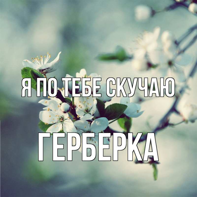 Открытка с именем, Герберка, Я по тебе скучаю