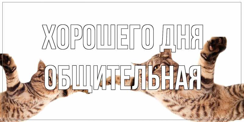 Картинка Хорошего дня, Общительная