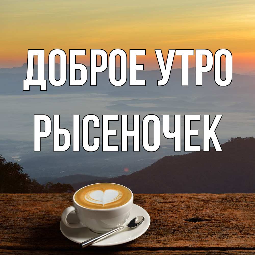Открытка на каждый день с именем, Рысеночек Доброе утро кофе на высоте Прикольная открытка с пожеланием онлайн скачать бесплатно 