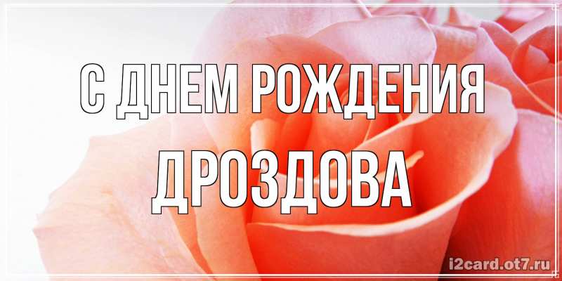 Картинка С днем рождения, Дроздова