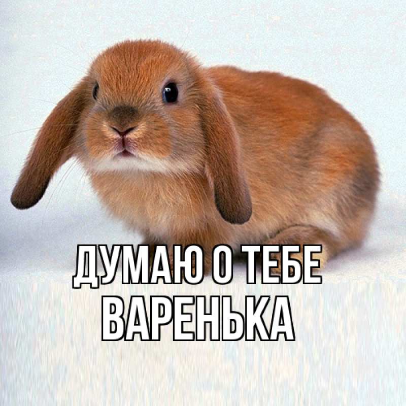 Картинка Думаю о тебе, Варенька