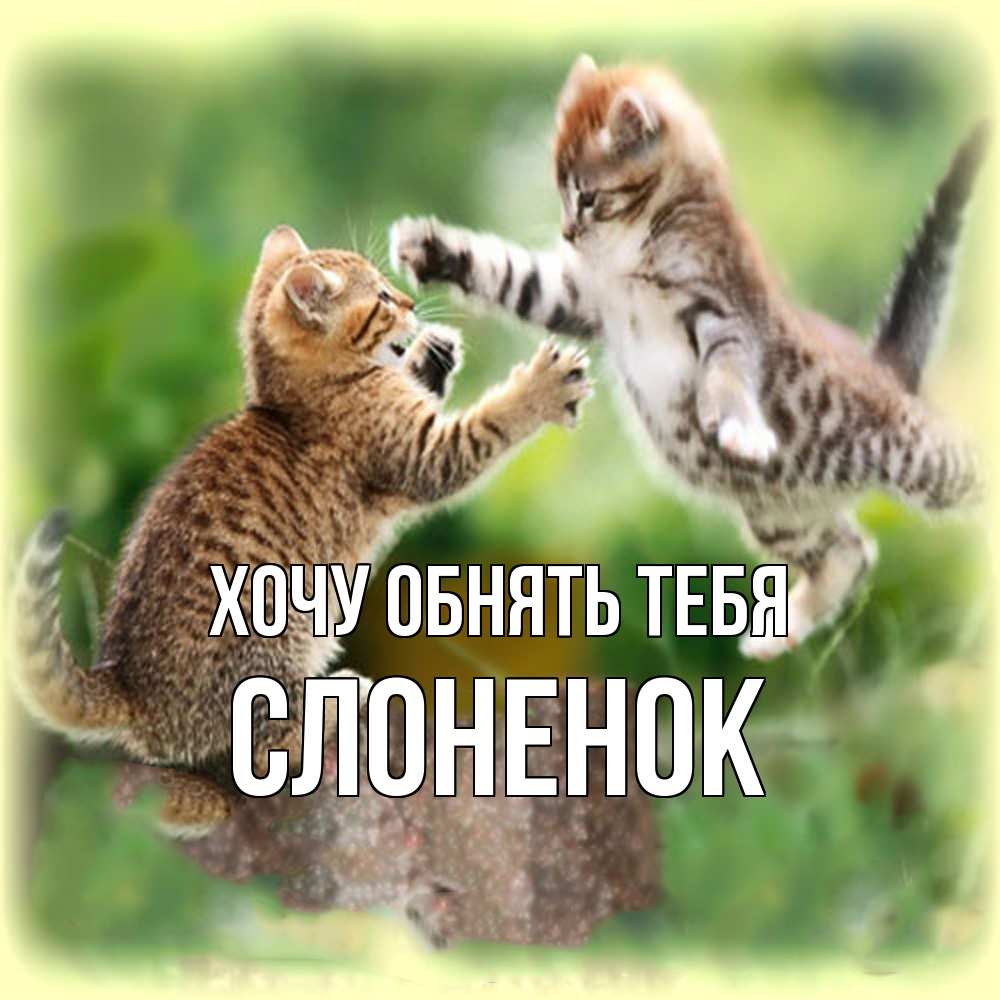 Открытка на каждый день с именем, Слоненок Хочу обнять тебя игры котят Прикольная открытка с пожеланием онлайн скачать бесплатно 