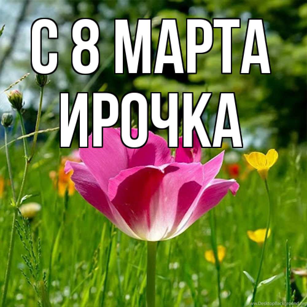 Открытка на каждый день с именем, Ирочка C 8 МАРТА полевые цветы Прикольная открытка с пожеланием онлайн скачать бесплатно 