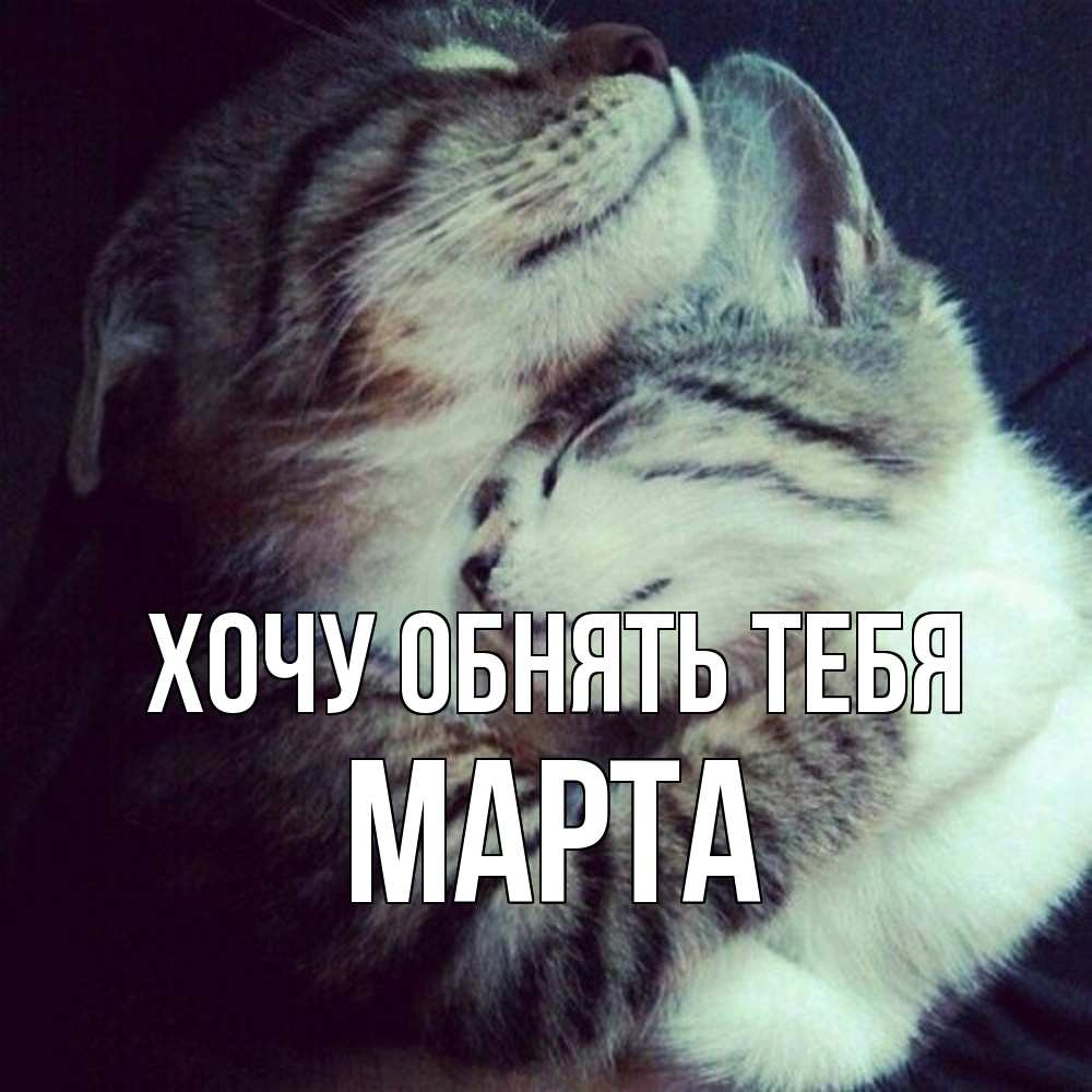 Открытка на каждый день с именем, Марта Хочу обнять тебя полосатики Прикольная открытка с пожеланием онлайн скачать бесплатно 