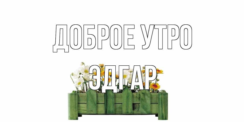 Открытка на каждый день с именем, Эдгар Доброе утро цветы Прикольная открытка с пожеланием онлайн скачать бесплатно 