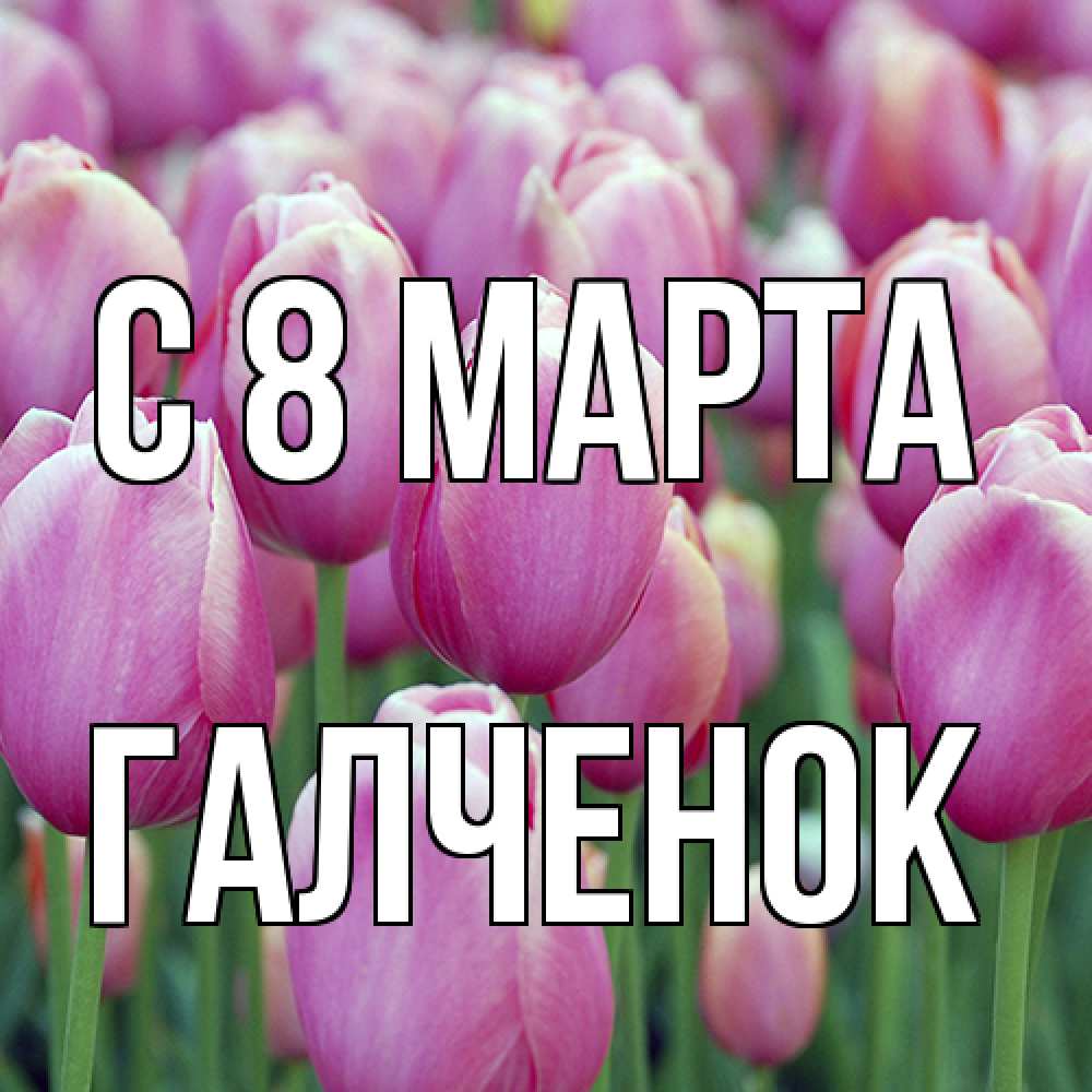 Открытка на каждый день с именем, Галченок C 8 МАРТА на международный женский день 3 Прикольная открытка с пожеланием онлайн скачать бесплатно 