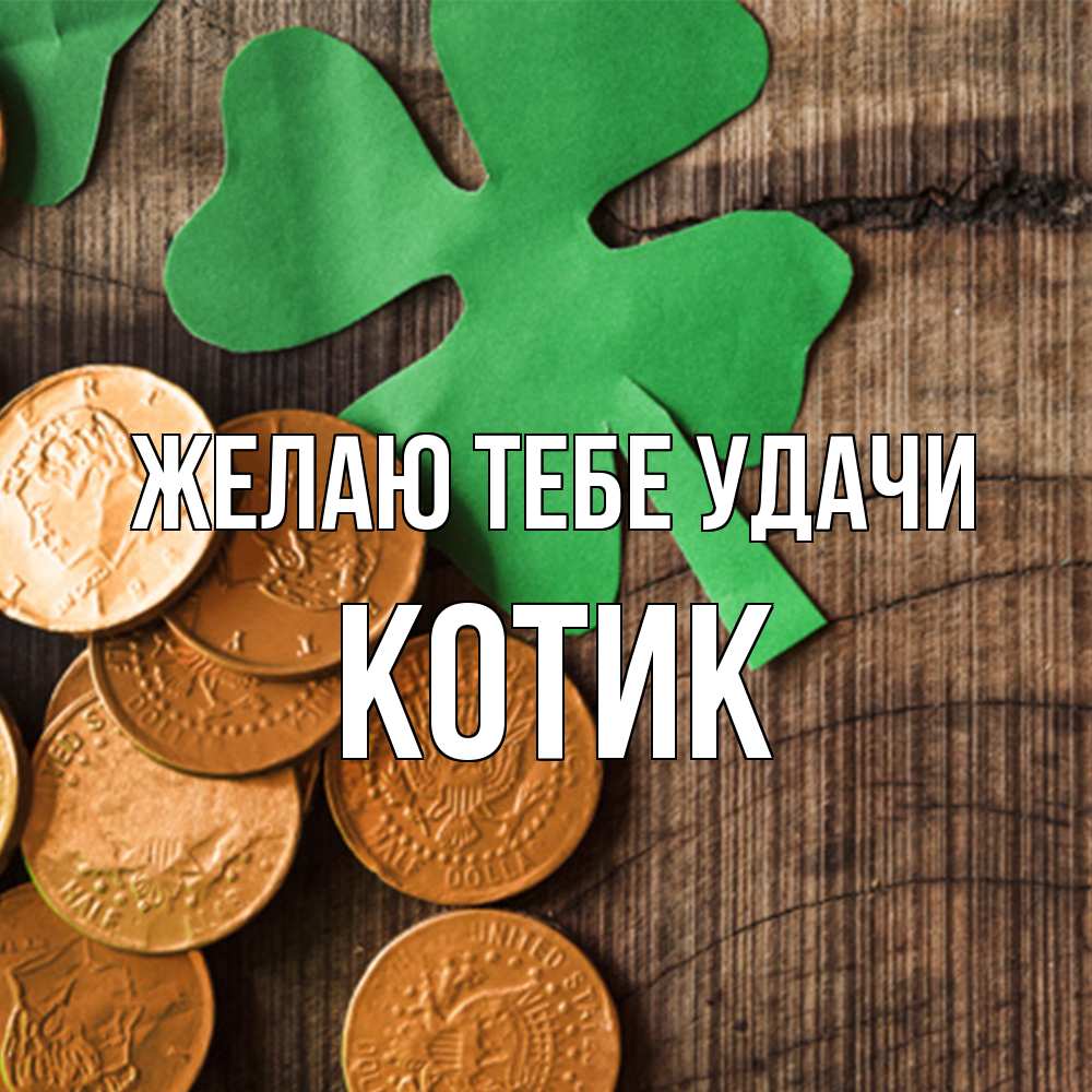 Открытка на каждый день с именем, Котик Желаю тебе удачи деревянный фон Прикольная открытка с пожеланием онлайн скачать бесплатно 