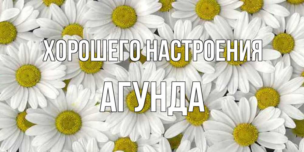 Открытка на каждый день с именем, Агунда Хорошего настроения поляна ромашек Прикольная открытка с пожеланием онлайн скачать бесплатно 