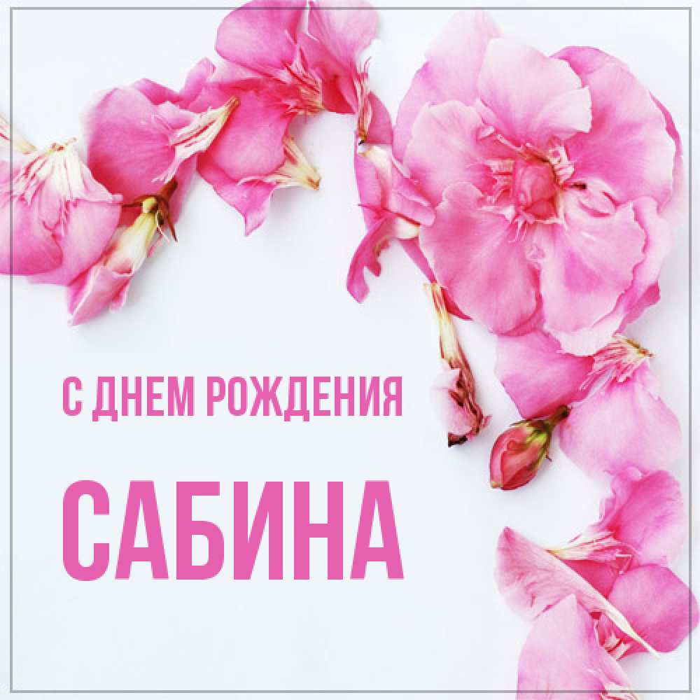 Открытка на каждый день с именем, Сабина С днем рождения Красивая открытка для поздравления с днем рождения Прикольная открытка с пожеланием онлайн скачать бесплатно 