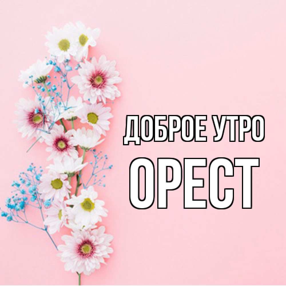 Открытка на каждый день с именем, Орест Доброе утро цветы с подписью Прикольная открытка с пожеланием онлайн скачать бесплатно 