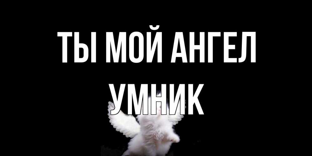 Открытка на каждый день с именем, Умник Ты мой ангел Кот ангел Прикольная открытка с пожеланием онлайн скачать бесплатно 