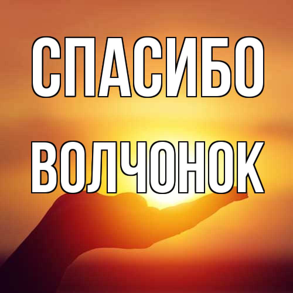 Открытка на каждый день с именем, Волчонок Спасибо закат Прикольная открытка с пожеланием онлайн скачать бесплатно 