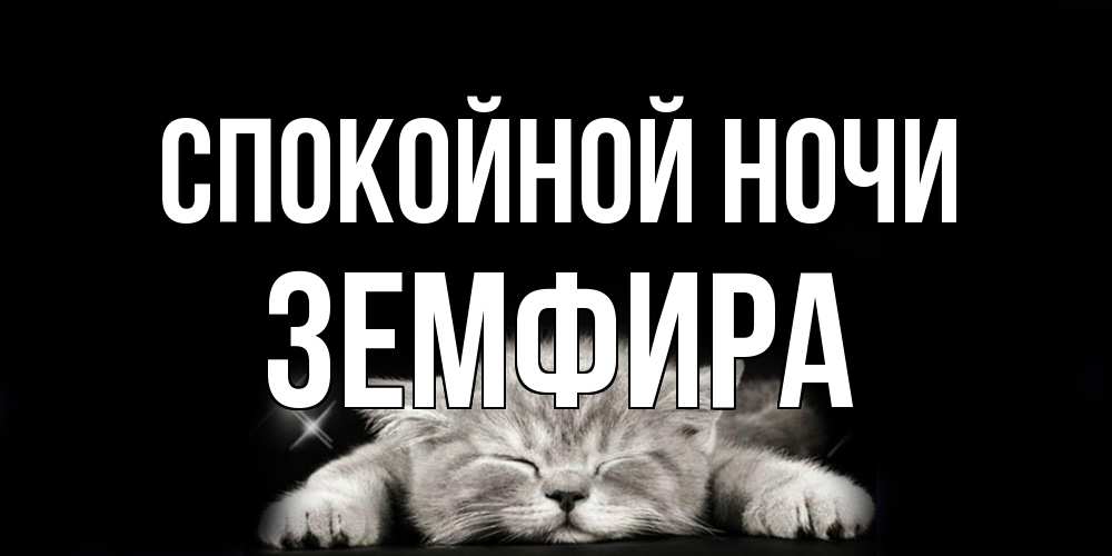Открытка на каждый день с именем, Земфира Спокойной ночи спящий котик Прикольная открытка с пожеланием онлайн скачать бесплатно 